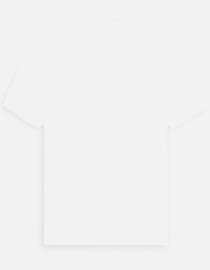 Back_3_c_1.jpg